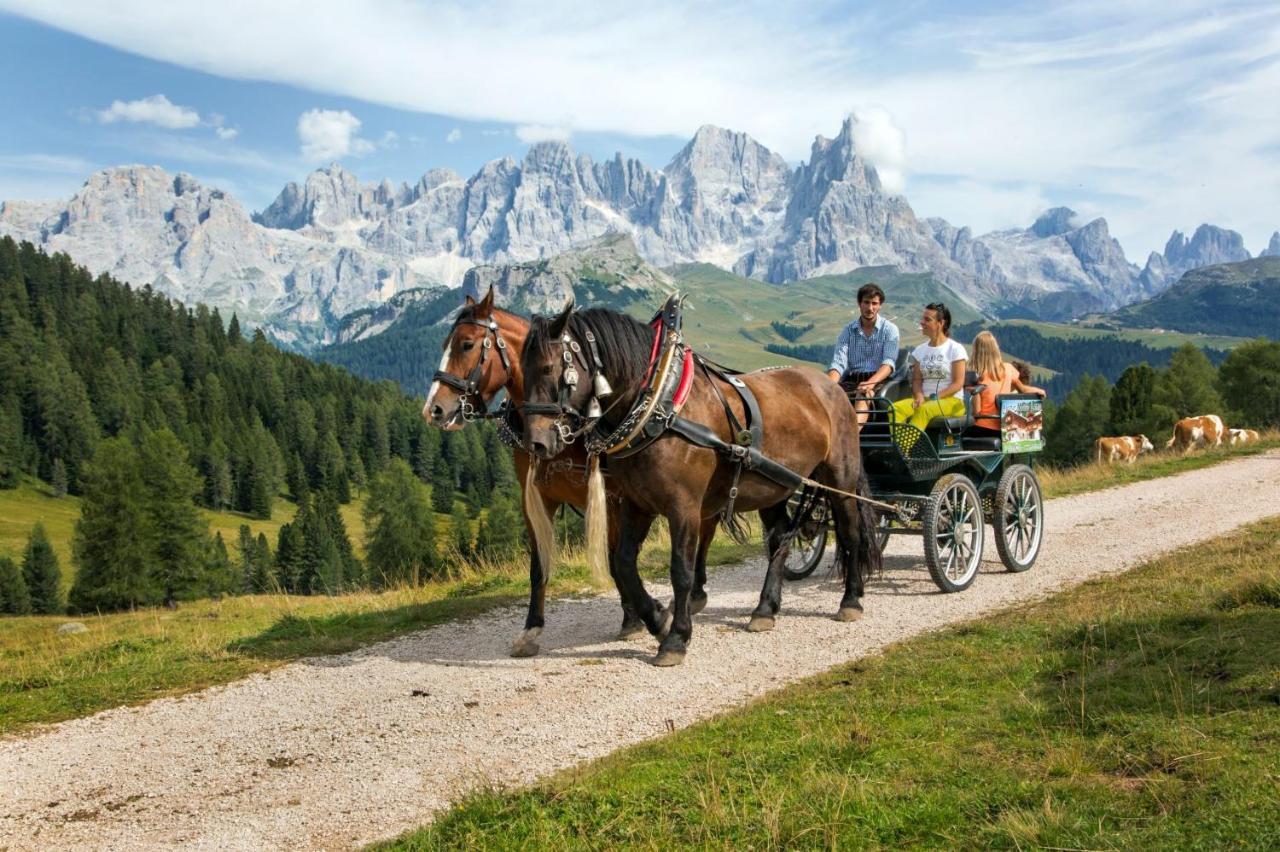 Hotel Italia Castello-Molina di Fiemme Exteriér fotografie